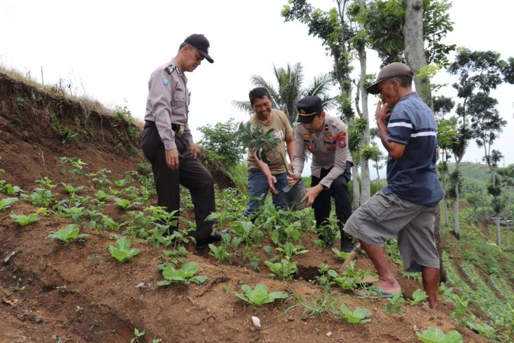 Ketua KTH Banjarejo Apresiasi Program KTLGK Polres Batu Tingkatkan Ekonomi Masyarakat