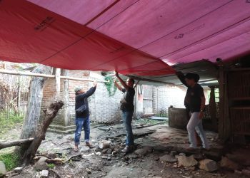 Polres Nganjuk Bongkar Tiga Lokasi Sekaligus Diduga Tempat Judi Sabung Ayam