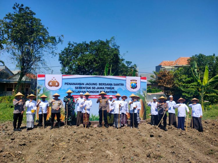 Penanaman Jagung Bersama Santri Serentak Se-Jawa Timur Bersama Ponpes Assalafi Al-Fitrah Surabaya