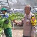 Bhabinkamtibmas Laksanakan Asistensi dan Pembinaan Program Ketahanan Pangan Hidroponik di Taman Petekkan Riverside