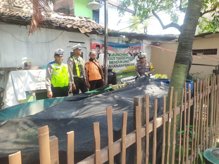 Patroli Harkamtibmas Polsek Semampir di Sidotopo Pantau Program Ketahanan Pangan Budidaya Ikan Lele