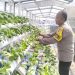 Bhabinkamtibmas Kelurahan Tanjung Perak Laksanakan Pembinaan Program Ketahanan Pangan Melalui Pekarangan Hidroponik