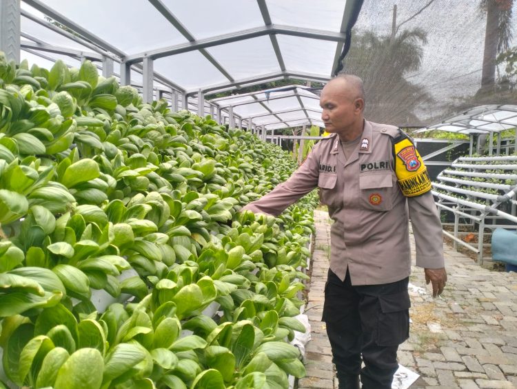 Bhabinkamtibmas Kelurahan Tanjung Perak Sambang Kelompok Tani Petekan 8 Pantau Program Ketahanan Pangan