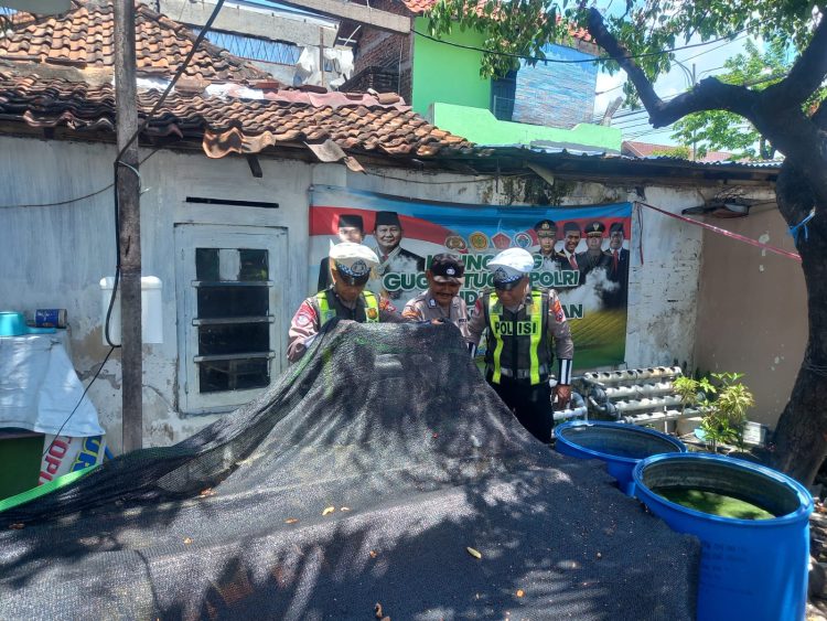 Patroli Harkamtibmas Polsek Semampir Pantau Program Budidaya Ikan Lele di Kampung Tangguh