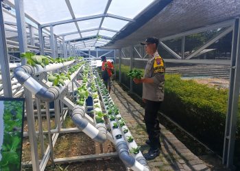 Bhabinkamtibmas Laksanakan Pembinaan Program Ketahanan Pangan di Kelurahan Tanjung Perak