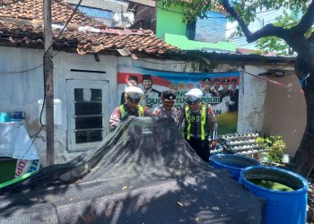 Patroli Harkamtibmas Polsek Semampir Pantau Program Budidaya Ikan Lele di Kampung Tangguh
