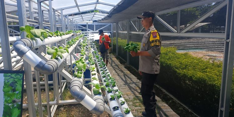 Bhabinkamtibmas Laksanakan Pembinaan Program Ketahanan Pangan di Kelurahan Tanjung Perak